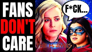 Disney KNOWS No One Wants The Marvels | Put Ms Marvel On ABC In DESPERATE Attempt To Save It