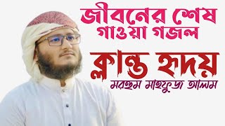 The last ghazal of life || Mahfuz Alam Kalrab || by Holy Tune