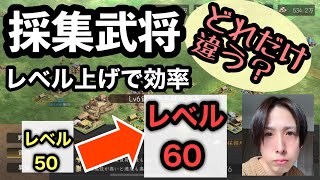 【新信長の野望】S36 資源採集の武将レベル上げで効率上がるか検証してみた！　#新信長の野望 #シンノブ #s36