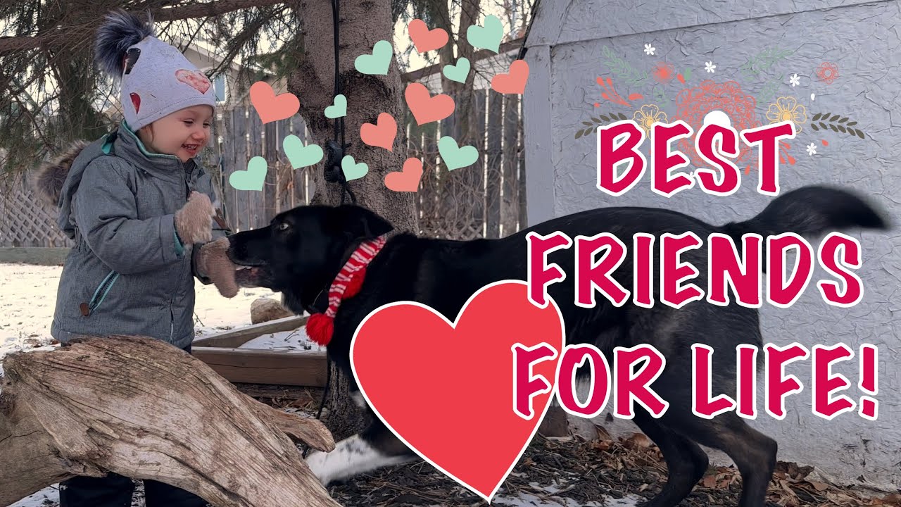 We Love Our Dog Youtube