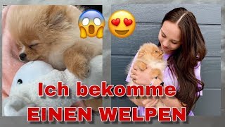 ICH bekomme EINEN WELPEN / Annika Sofie