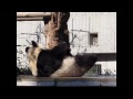 ゴロゴロパンダタンタン【王子動物園】2015年1月2日