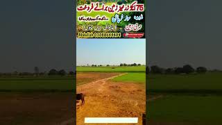 75 acar agriculture land for sale || in khanewal punjab زرخیز نہری زمین