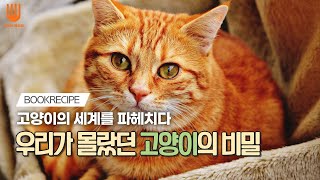 우리가 몰랐던 고양이의 비밀 - 책 | 상대적이며 절대적인 고양이 백과사전