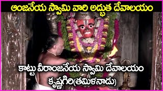 ఆంజనేయ స్వామి వారి అద్భుత దేవాలయం - Sri Kattu Veera Anjaneya Swamy Temple - Krishnagiri | Tamilnadu