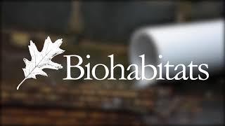 Stormwater Management at the Baltimore ToolBank