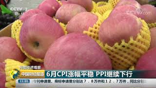 [中国财经报道]月度经济观察 6月CPI涨幅平稳 PPI继续下行| CCTV财经