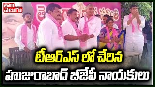 టీఆర్ఎస్ లో చేరిన హుజురాబాద్ బీజేపీ నాయకులు | Huzurabad BJP Leaders Joining In TRS | Tolivelugu TV