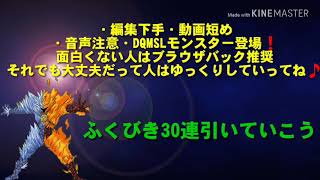 【DQMSL生声実況】ふくびき30連❗神引き❔❗