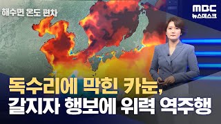 독수리에 막힌 카눈, 갈지자 행보에 위력 역주행 (2023.08.07/뉴스데스크/MBC)