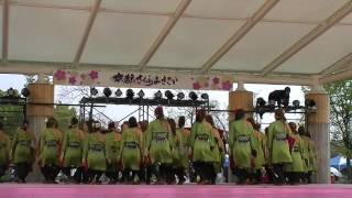 「京炎 そでふれ！京小町」　京都さくらよさこい2013