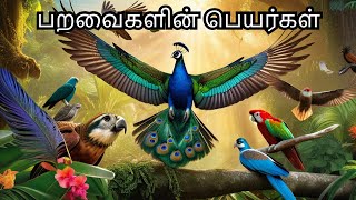 பறவைகளின் பெயர்கள் | Birds names | Pravaigal peyargal |