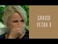 Gravid vecka 8