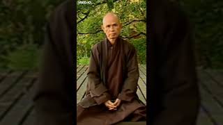 What is Buddhist Meditation | Thich Nhat Hanh | Plum Village #Shorts