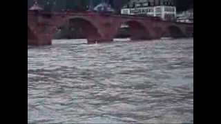 Heidelberg - Neckar - Hochwasser 09.01.2011 - Teil 3