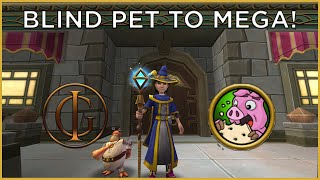 Wizard101 BLIND PET TO MEGA - HOW Did This Happen??