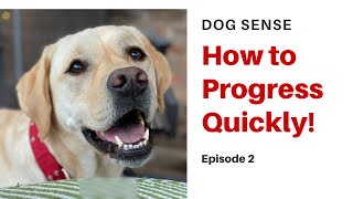 Dog Sense (Ep.2) - Efficient Dog Training!