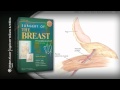 Surgery of the Breast, Third Edition