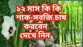 ১২ মাস কি কি সবজি চাষ করা যায় দেখে নিন।🥒🌽🥦🍉