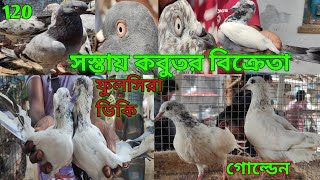 Sellসেল গরমে জমজমাট সস্তায় কবুতরমার্কেট। দাম আছে অনেককম কিন্তূ পায়রার আছে প্রচুর দম@Theskybirds