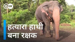 21 लोगों को मारने वाला हाथी कैसे बदल गया [India's born-again elephants repel four-legged rampages]