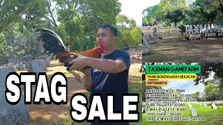 MGA SALE NA MGA STAG AT 3 WAY CROSS NG TAXMAN GAMEFARM 3/23 /24