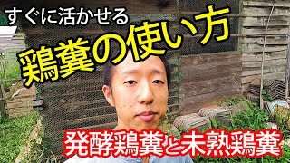 使い勝手の良い鶏糞は微粉状？鶏糞の種類から使い方を養鶏家が解説！【自然卵養鶏法】