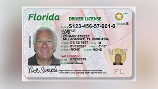 New Florida driver's license numbers will be issued to help prevent fraud