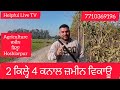 2 ਕਿਲ੍ਹੇ ਜਮੀਨ ਵਿਕਾਊ hoshiarpur agriculture ਜ਼ਮੀਨ for sale punjab