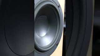 Tannoy speaker sound test