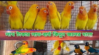 লাখ টাকার লাভ-বার্ড কিনুন জলের দামে// New video Lovebirds sell //