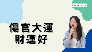 傷官大運，財運好 | 八字案例 | 林子玄八字命理