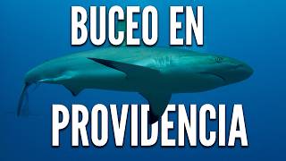 🦈La Mejor Guía de Buceo en Providencia: Consejos y Lugares Imperdibles