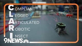CU Boulder creates robot that can be squished