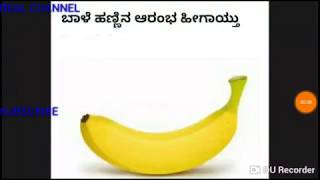 ಎಲ್ಲರ ನೆಚ್ಚಿನ ಬಾಳೆ ಹಣ್ಣಿನ ಇತಿಹಾಸ ತಿಳಿದುಕೊಳ್ಳಿ