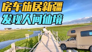 一家三口带狗狗房车旅居新疆，雪山底下避暑，发现人间仙境太美了【家和远方的旅行】