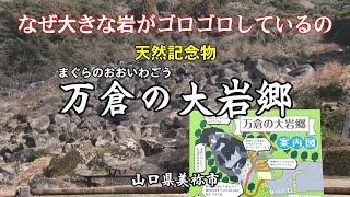 【 万倉の大岩郷  】まぐらのおおいわごう「山口観光」山口県美祢市　石英閃緑岩(せきえいせんりょくがん　)　山の斜面に巨大な岩が沢山転がっている岩の海。昭和１０年に国の天然記念物に指定。