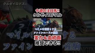 【ダービー卿CT予想】実力＆血統面ともに推奨できる！　クルゼイロドスル　#競馬 #競馬予想 #武豊 #ダービー卿チャレンジトロフィー #大阪杯