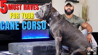 5 Must Haves For Your Cane Corso