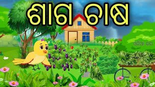 ଟିକି ଚଢେଇ ର ଶାଗ ଚାଷ | Odia Chadhei Gapa | Tiki Chadhei