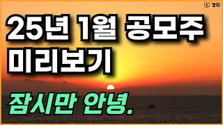 2025년 1월 공모주 미리보기 ㅣ 1월 공모주 예상 ㅣ 엘지씨엔에스, 삼양엔씨켐, 와이즈넛 등