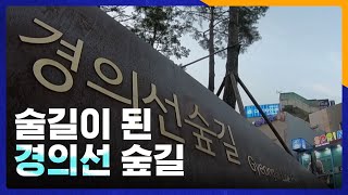 술길이 된 경의선 숲길