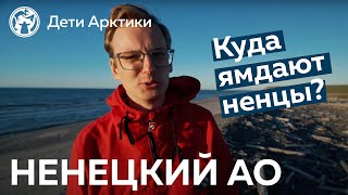 Дети Арктики | Путешествия | Куда ямдают ненцы?