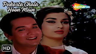 Pukarta Chala Hoon Main | Asha Parekh, Biswajit | Mere Sanam | Mohd.Rafi Super Hit Romantic song
