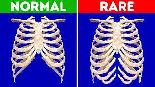 Devine si Ces Idées Reçues sur des Particularités Physiques Sont Vraies ou Fausses