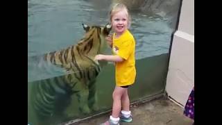 A little girl playing with Tiger !!