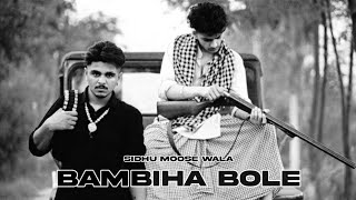 Bambiha Bole (cover video) Sidhu Moose Wala