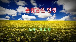 들꽃같은 인생(위일청 - 가사자막)