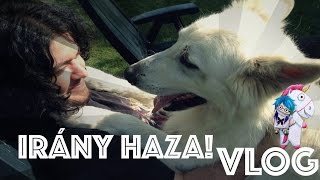 Évforduló és kisállatok!  -  Irány Haza VLOG