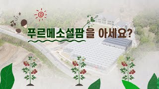 발달장애 청년의 행복 일터 푸르메소셜팜을 아시나요? | 푸르메재단